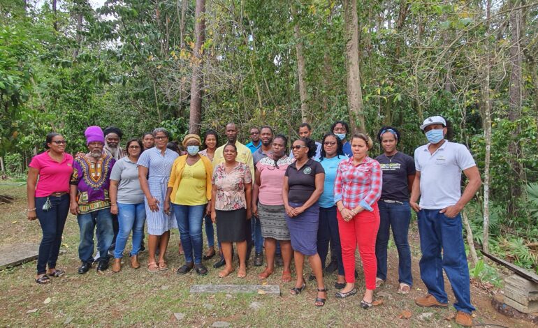 Saint Lucia makes important strategic steps to protect its local Forest Land￼