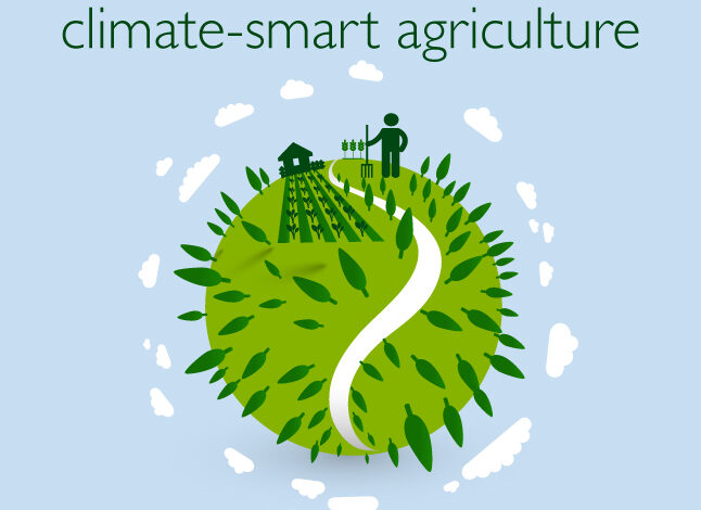Climate Smart Agriculture Project created to equip Agriculture Extension Officers, Forest Rangers, and affiliated professionals