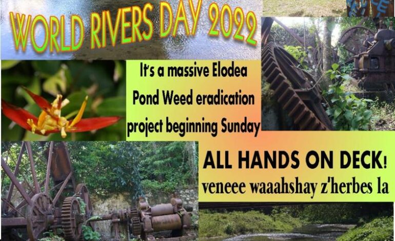 World Rivers Day 2022 at the Hampstead Estate