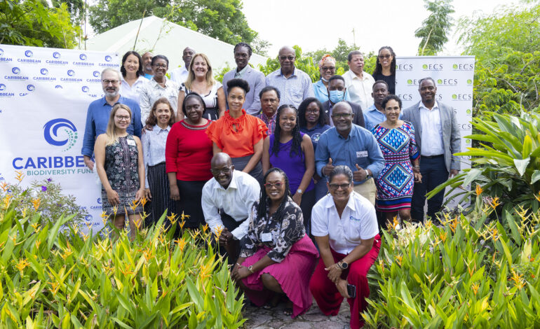 The OECS and CBF Talk Sustainable Financing For Conservation