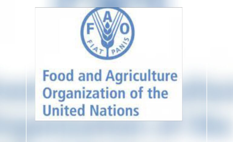 FAO’s first virtual fair analyzed experiences of innovation and digitization in rural territories