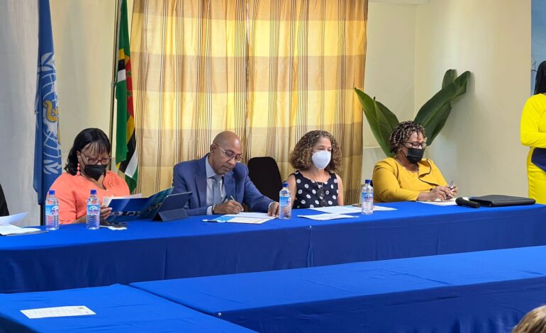 In-country project with stakeholders for transforming Dominica health systems