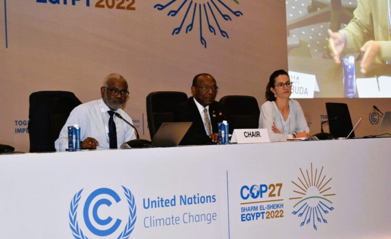 AOSIS Chair COP27 Statement: “Failure On Loss And Damage Fund Is A Failure For The World”