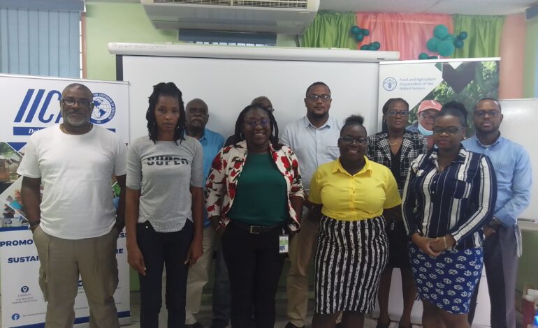 Eight farmers’ organizations in Saint Lucia embark on the road to Capacity Building with FAO, IICA and IFAD