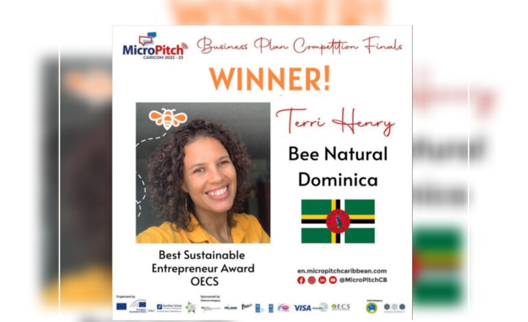 Bee Natural wins MicroPitch Best Sustainable Entrepreneur Award