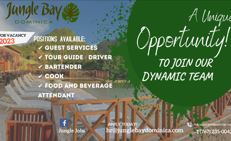  Job Opportunities at Jungle Bay Resort