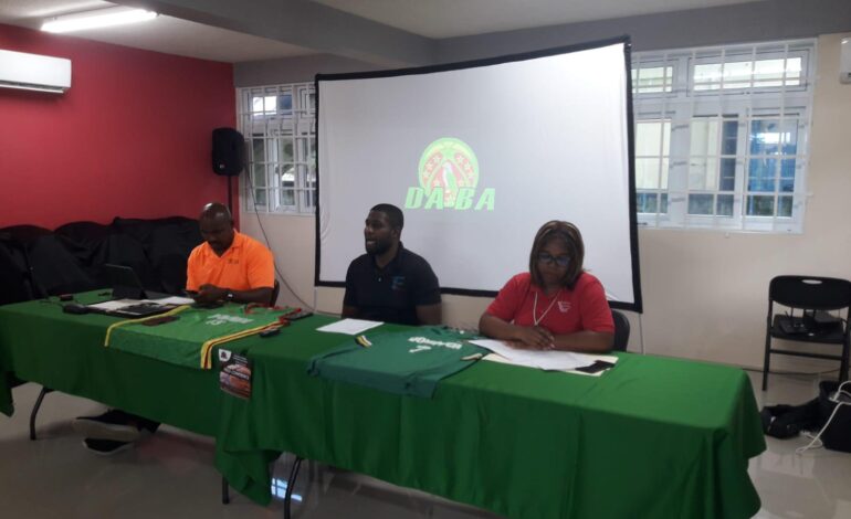  DABA plans to implement insurance for athletes