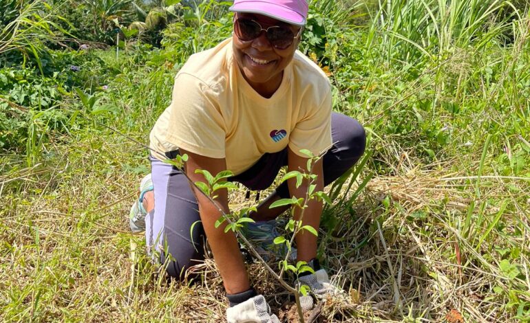 Republic Bank partners with the Forestry Division to plant over 120 Trees