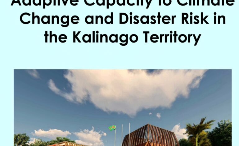 Building Resilience and Adaptive Capacity to Climate Change and Disaster Risk in the Kalinago Territory