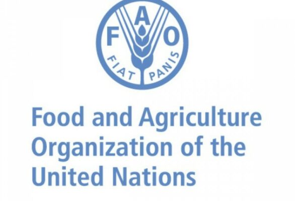 FAO regional conference: Latin America and the Caribbean chart the way towards sustainable fisheries and aquaculture for food security