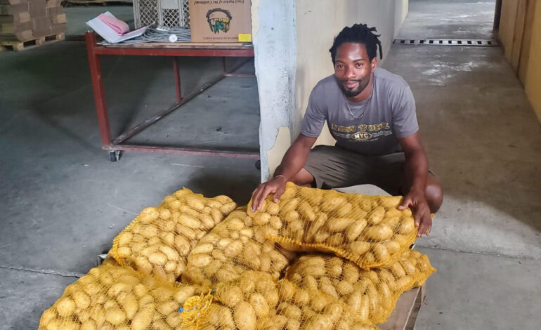 DEXIA is encouraging purchase of local white potatoes as farmers begin to harvest crop