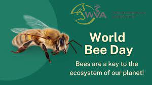 World Bee Day 2023: Bees and pollinators need responsible agriculture that supports their role in nature