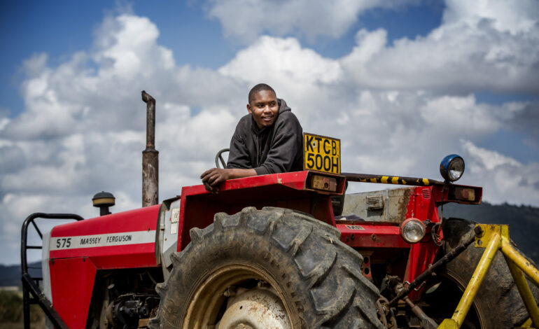 FAO to host first-ever Global Conference on Sustainable Agricultural Mechanization