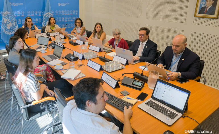 Non-governmental actors from Latin America and the Caribbean discussed the transformation of agrifood systems in the run-up to the 38th FAO Regional Conference