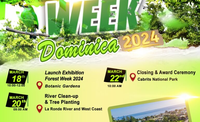 Dominica Observes Forest Week 2024: “Forests and Innovation”
