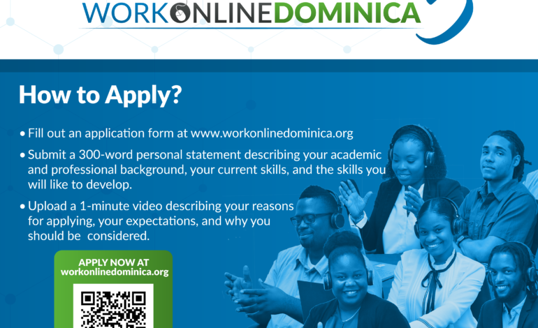 Work Online Dominica Launches Cohort 5 in Partnership with Local Digital Ambassadors