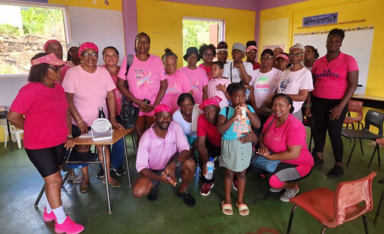 Breast Cancer Walk from La Plaine to Boetica Hailed a Success