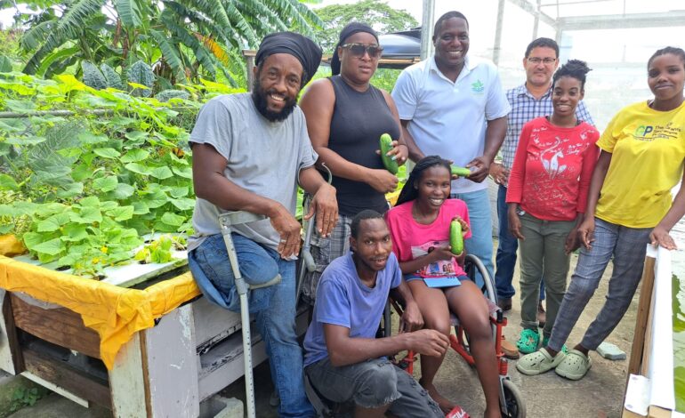 Farmers in Antigua and Barbuda trained on use of Digital Sensors to boost Agricultural practices Small-scale farmers are now more equipped to grow more food and improve their earnings