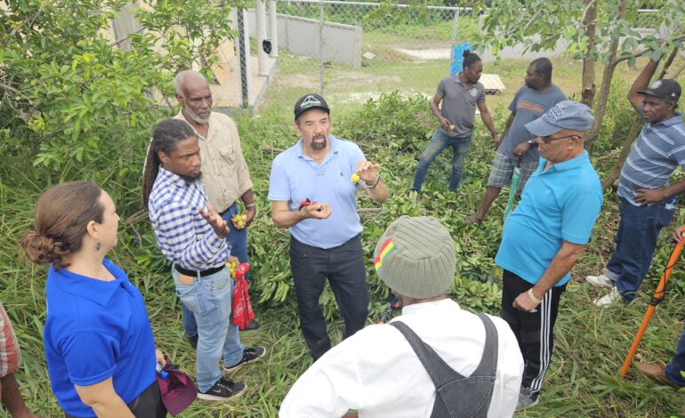 Soursop farmers and technicians in Grenada undergo comprehensive training to bolster industry