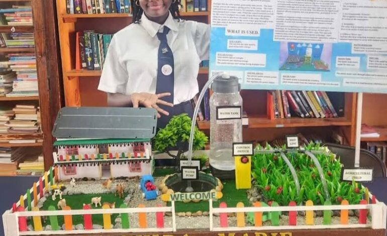 Young Innovator Introduces Eco-Friendly Irrigation System at School Science Fair