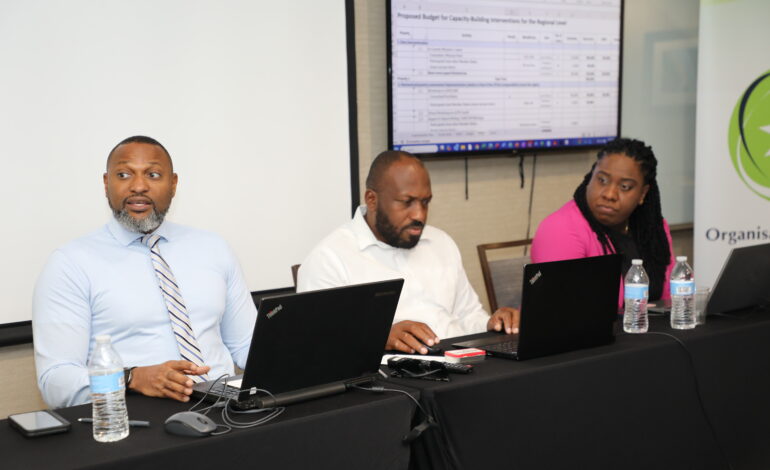 Strides in Data Harmonisation: OECS RDGC Elects New Chair and Maps Out Sustainability