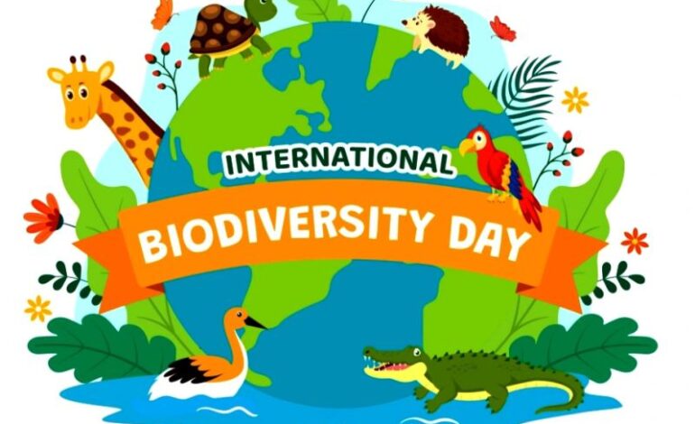 Dominica Celebrates World Biodiversity Day 2025: Embracing Harmony with Nature and Sustainable Development