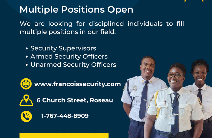  Francois Security Company is hiring. Click on link to apply