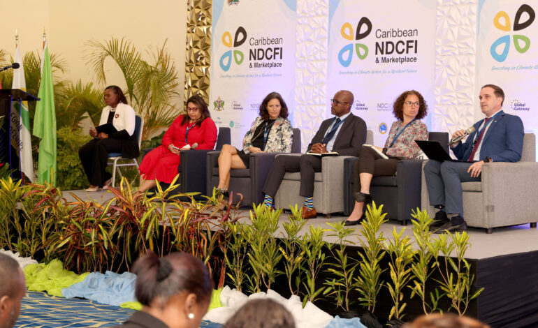 GGGI Strengthens Regional Collaboration at 3rd Caribbean NDCFI Investment Forum in Grenada